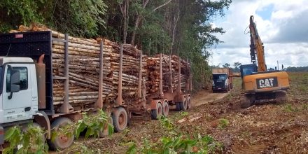 Transporte-de-madeira-440x220.jpg